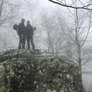 Meet your Posher, Elisha